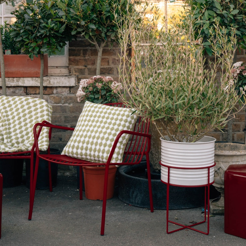 Frame Lounge Chairs & Lounge Bench Set