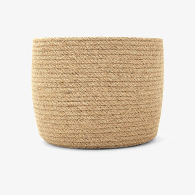Dave Basket, Natural 2