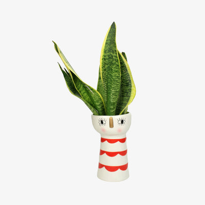 Face Vase, Red 2