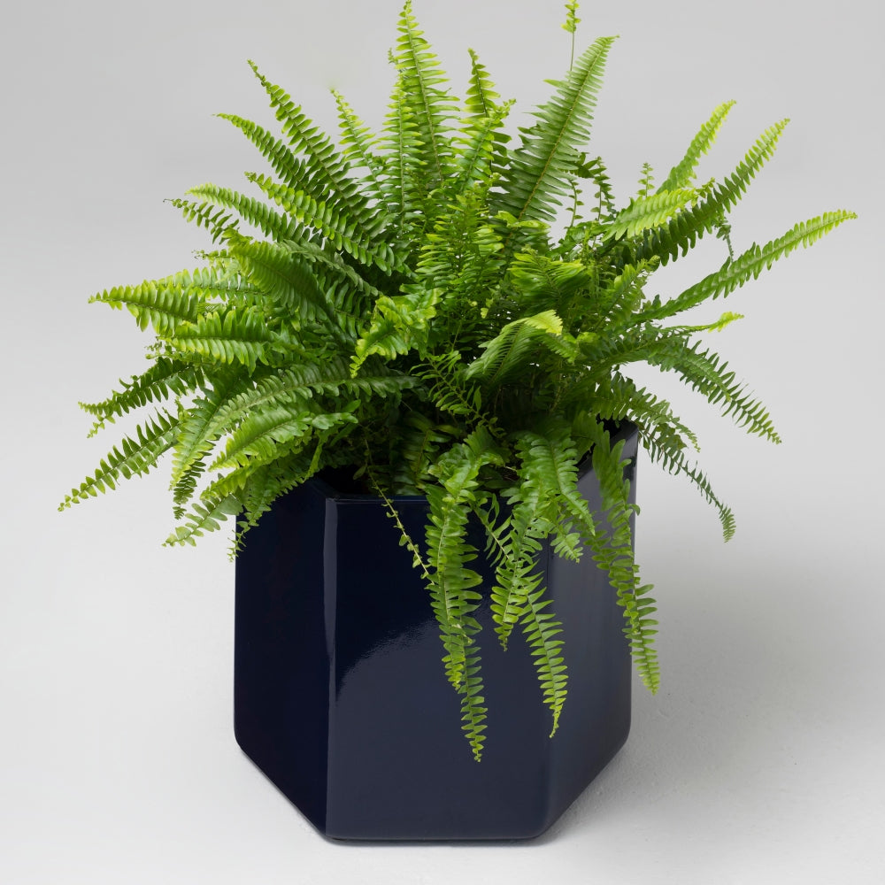 Giant Ceramic Planter, Midnight Blue