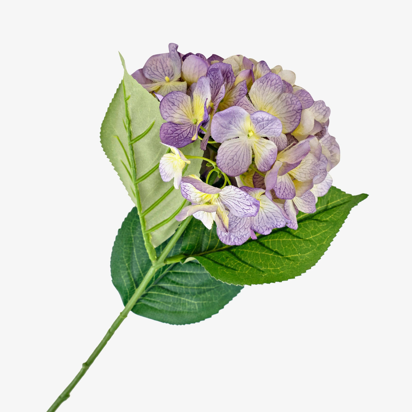 Hydrangea Stem, Lilac, 60 cm 2