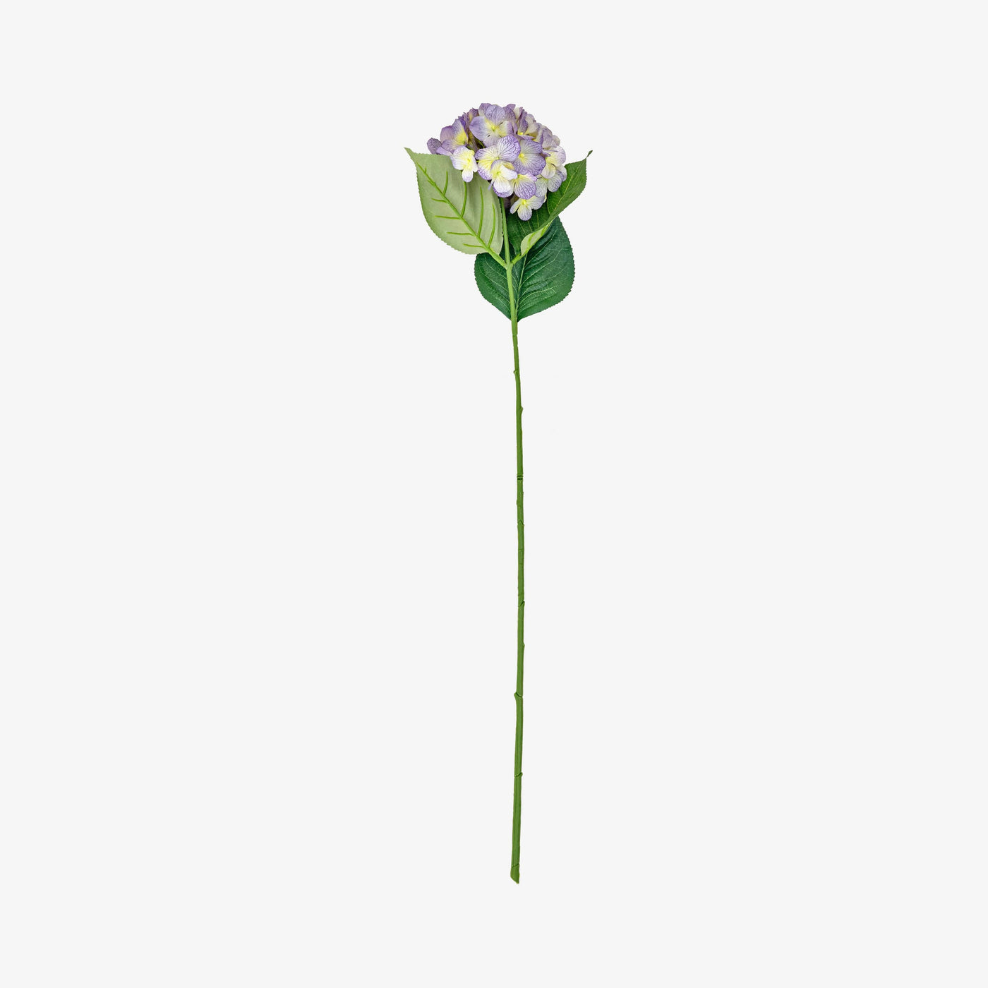 Hydrangea Stem, Lilac, 60 cm 1